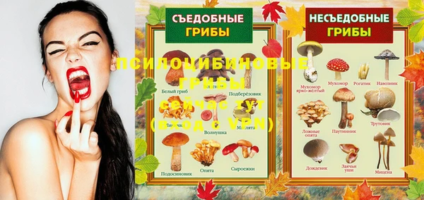 а пвп мука Бородино